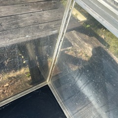 120cmアクリル水槽の画像