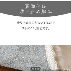 ニトリ　アクセントラグ 
