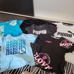 Tシャツ6枚セット