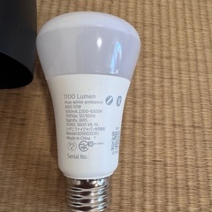 照明器具とスマート電球　差し上げますの画像