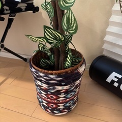 【無料】フェイクグリーンあげますの画像