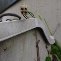 GSX250E エンジン、その他部品の画像