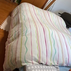 【交渉中】ダブルサイズ羽毛布団の画像