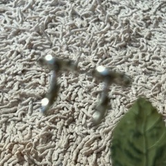 BURBERRY BLACK LABEL シルバー カフリンクスの画像