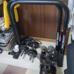 ディップスバー二本の画像