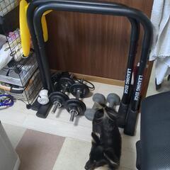 ディップスバー二本の画像