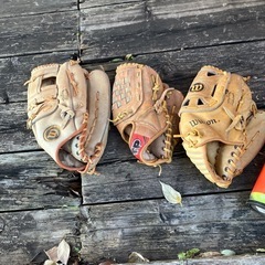 クローブ　ミットの画像