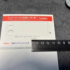 さんふらわあ5000円分クーポン券　2025/12/31まで　