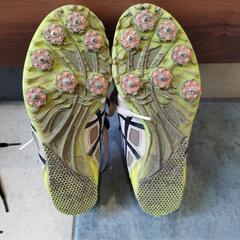 陸上用スパイクの画像