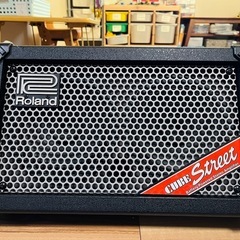 Roland ローランド cube street 路上ライブ アンプ