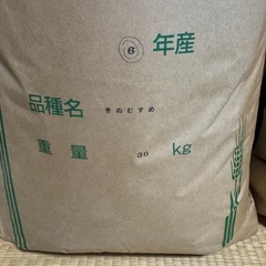 【受け渡し予定者決まりました。
】きぬむすめ 