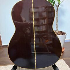 タカミネ Takamine エレアコ 純正ハードケース付の画像