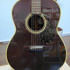 タカミネ Takamine エレアコ 純正ハードケース付の画像
