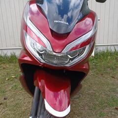 PCX125の画像