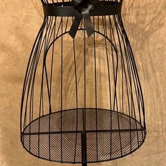 フレンチアイアントルソー　トルソー　ボディ　ボディー　ディスプレイ　インテリア　マネキン　の画像