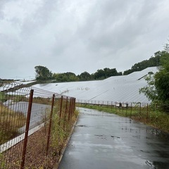 太陽光に関する仕事です☀️