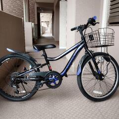 クロスバイク STRINGS 自転車の画像