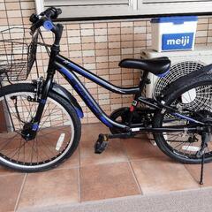 クロスバイク STRINGS 自転車の画像