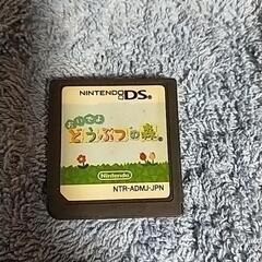 ニンテンドーDS ゲームソフト おいでよどうぶつの森