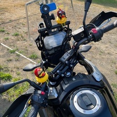 自賠27/5 5000km以下　Vストローム250 v strom250 absの画像