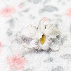 ☆ブローチ　花　カトレア　サイズ：W：約4.0ｃｍ　H：約3.5ｃｍ　中古品　の画像