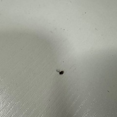 パソコンデスクの画像