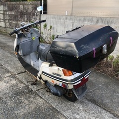 ホンダ　エリート250  　書類付レストアベース車の画像