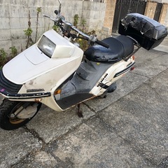 ホンダ　エリート250  　書類付レストアベース車の画像