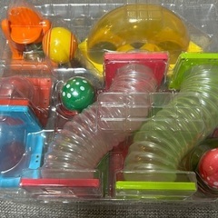 ピタゴラスの画像