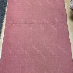 ホットカーペットの画像