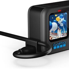 GoPro(ゴープロ)【GoPro公式】パススルードア for ...