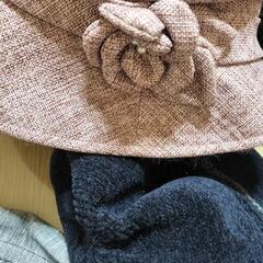 婦人帽子の画像