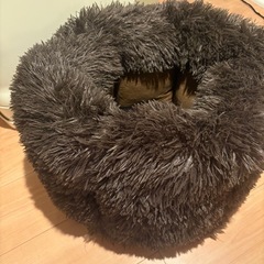 猫用ベッド 無料