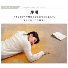 【ほぼ未使用】ホットカーペット1畳用の画像