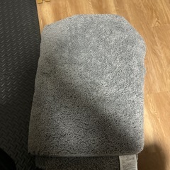 【ニトリ】ほこりが取れやすい洗えるラグ　グレー　場所により配送も可