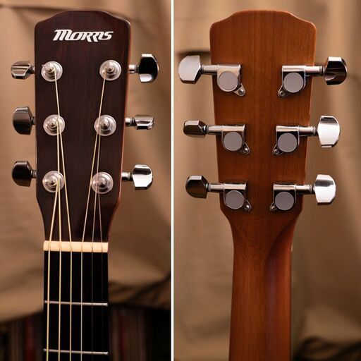 MORRIS MY-F 2020年 単板トップコンパクト極美品 ☆MORRIS MY-F 2020年 単板トップコンパクト 豪華ケース (MARO'S
