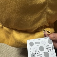 ぼっち・ざ・ろっく ぼっちちゃん in完熟マンゴー ぬいぐるみ XL 後藤ひとりの画像