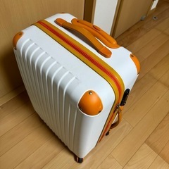 【決まりました✨】キャリーバッグ✨大きめサイズの画像