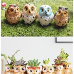 フクロウ植木鉢、置き物