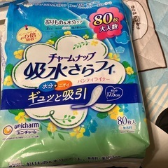 おりものシート　40枚入りの1パック　　 (薄め)  ＊夜用では...