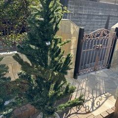 美品　クリスマスツリー　箱あり　180サイズの画像