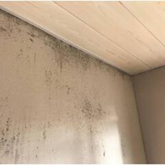 室内の湿気が多い箇所に機能性塗料！！！