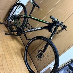 キャノンデールF29