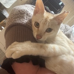 【お話中】めちゃ甘えん坊オシャレな男の子♡