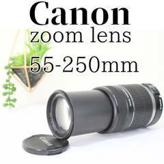 Canon Zoom Lens EF-S 55-250mm 1:4-5.6 IS - レンズ