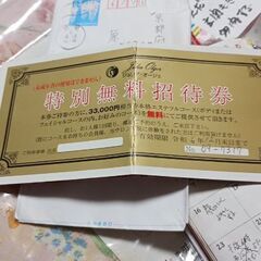 招待券、ビューティー、33000 円相当らしい、末まで