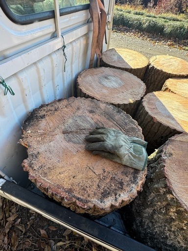 ナラ玉切り長さ40cm