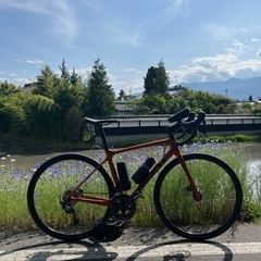 giant TCR ADVANCED 1 DISC KOM　20...