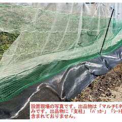 ★マルチEネット50m緑★約46%0FF★電気柵(電柵)★小城市★高さ約55cm★猪、狸、ｲﾀﾁ、ﾃﾝなどの小動物策等へ㊲の画像