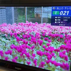 SHARP液晶テレビ&ブルーレイレコーダー